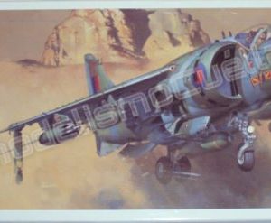 Hasegawa Harrier GR Mk.3 1/72